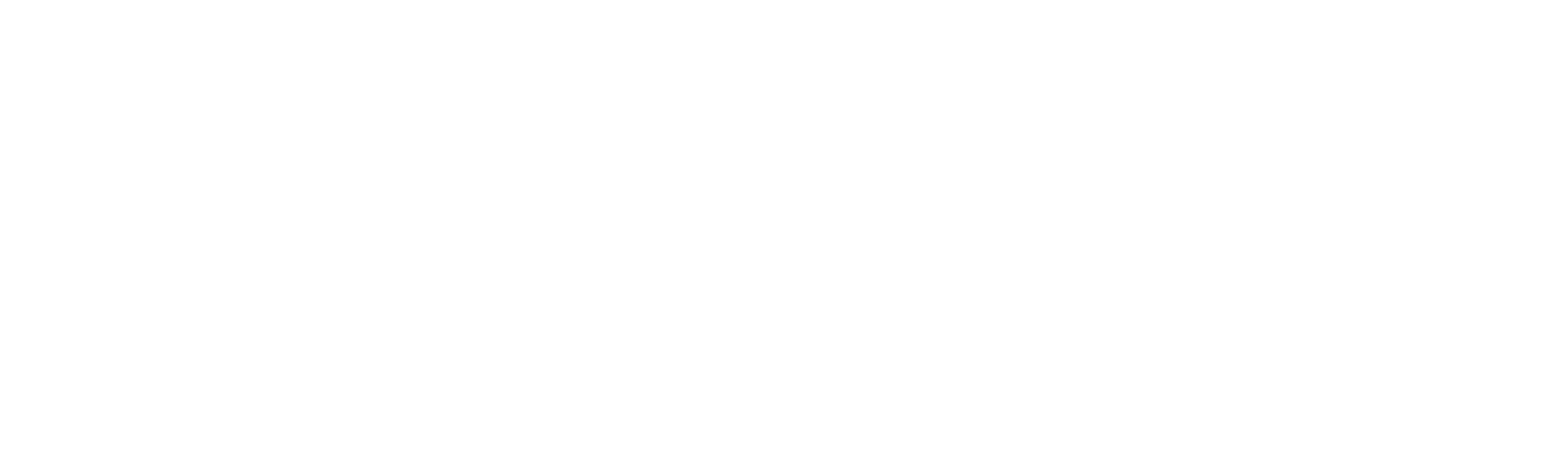 OneVoiz